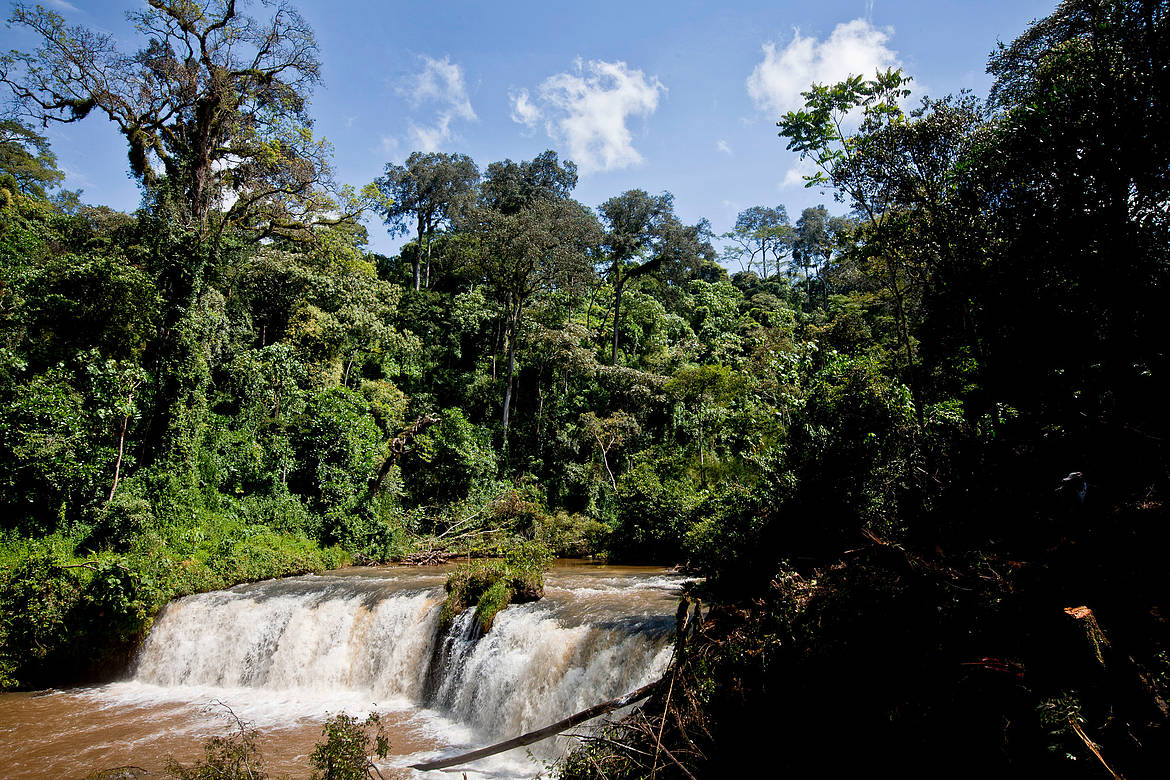 A waterfall along the Mara river at its source in the Mau Forest near Bomet in Narok, Kenya. The Mau Forest has increasingly been threatened in recent years due to deforestation and unrestricted use.